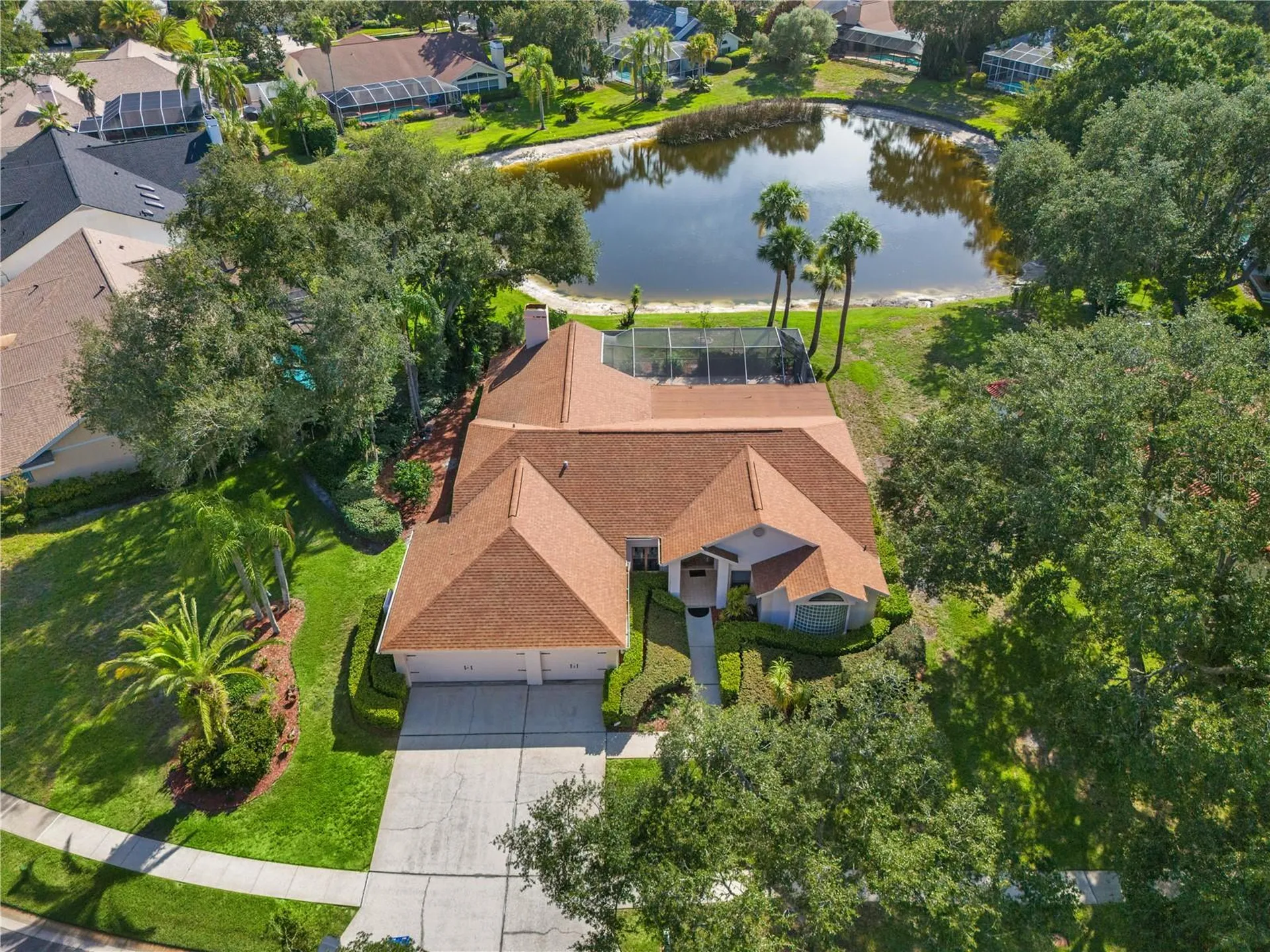15923 Ellsworth Drive Tampa FL 33647