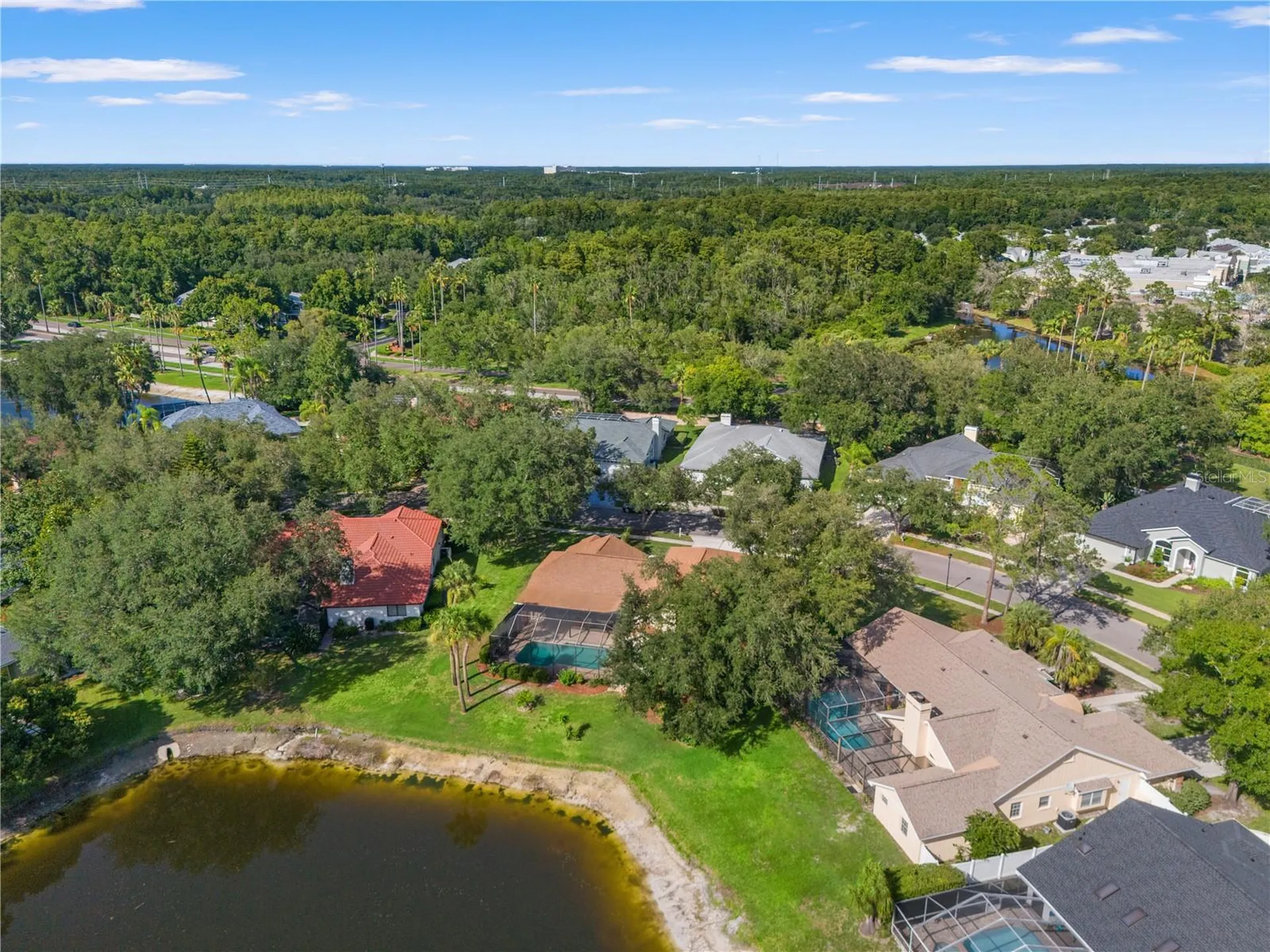 15923 Ellsworth Drive Tampa FL 33647