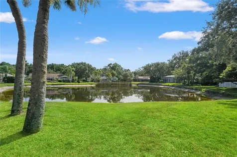 15923 Ellsworth Drive Tampa FL 33647