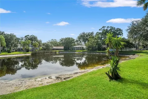 15923 Ellsworth Drive Tampa FL 33647