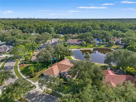 15923 Ellsworth Drive Tampa FL 33647