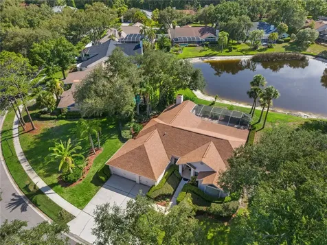 15923 Ellsworth Drive Tampa FL 33647