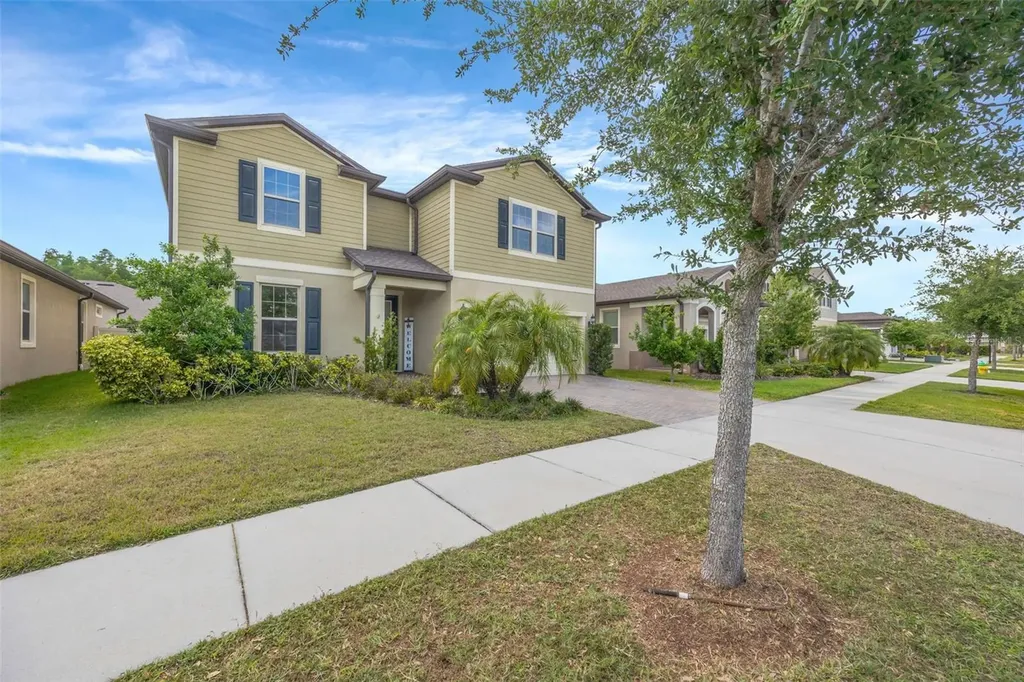 18928 Willowmore Cedar Drive Lutz FL 33558