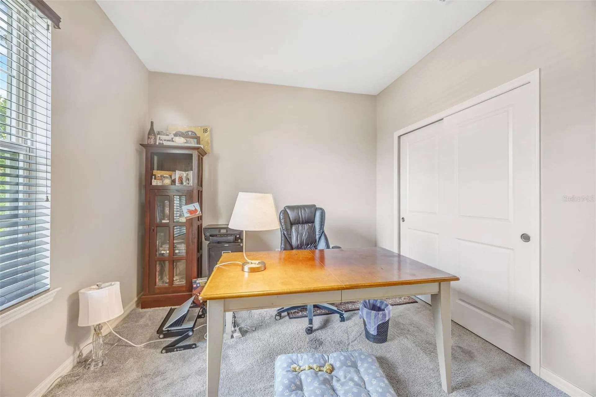 18928 Willowmore Cedar Drive Lutz FL 33558