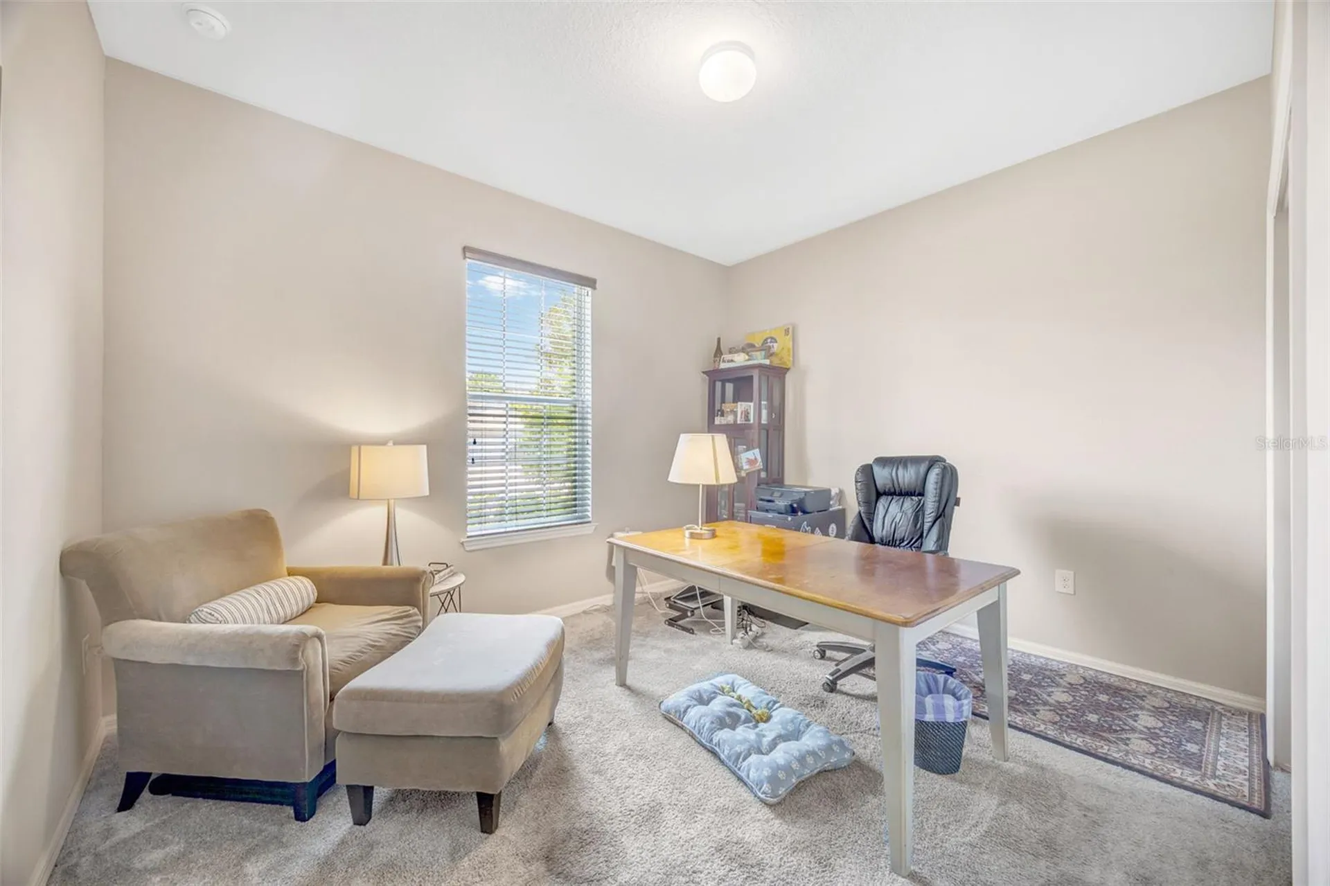 18928 Willowmore Cedar Drive Lutz FL 33558