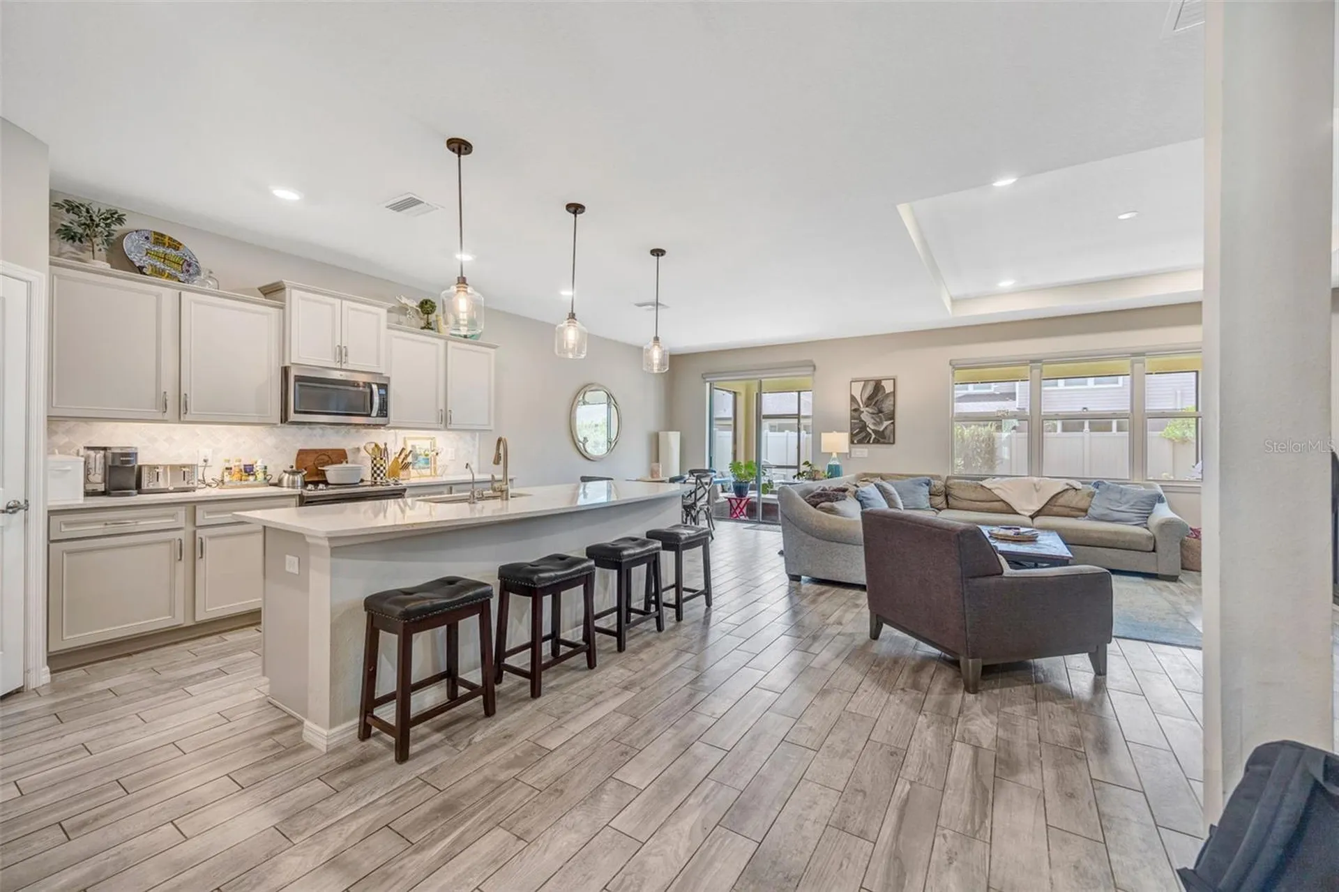 18928 Willowmore Cedar Drive Lutz FL 33558