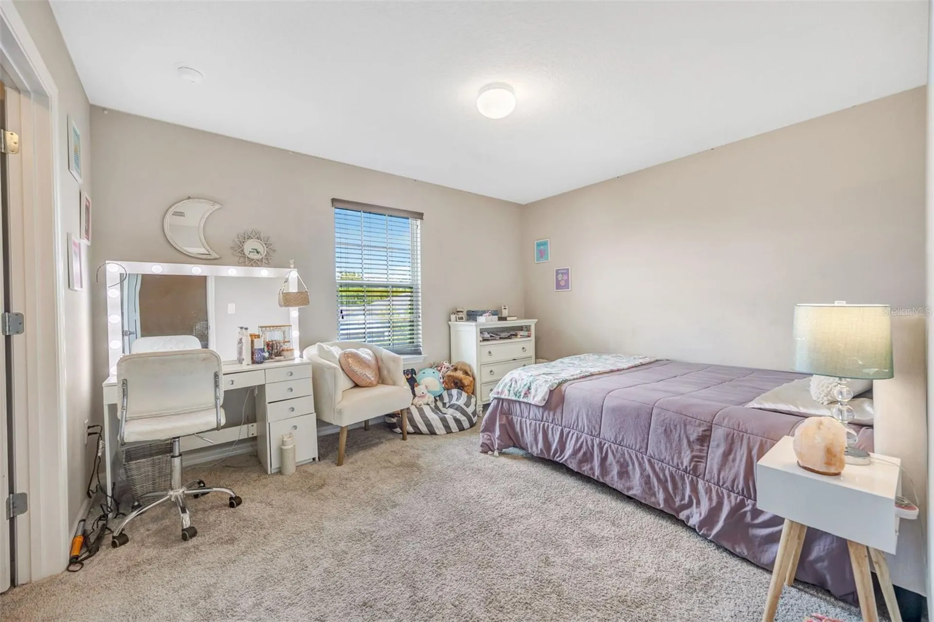18928 Willowmore Cedar Drive Lutz FL 33558