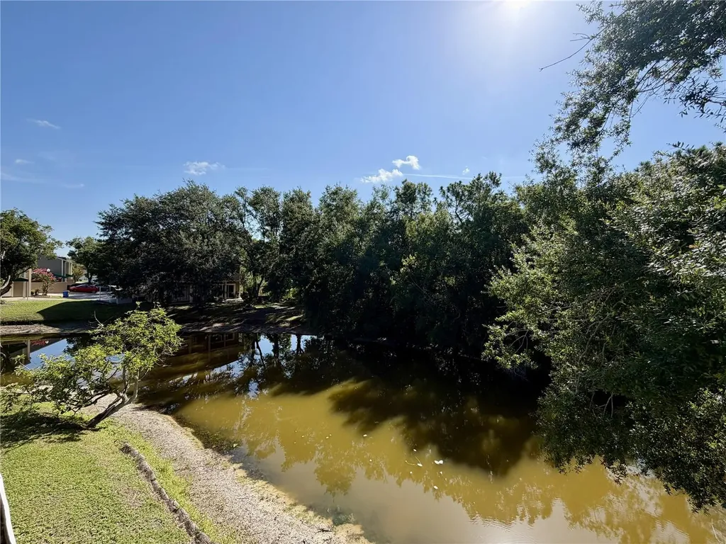 6905 Lake Place Court Tampa FL 33634