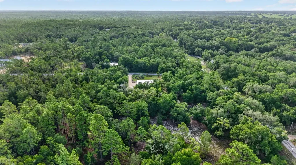4500 SW Freshwater Court Dunnellon FL 34431
