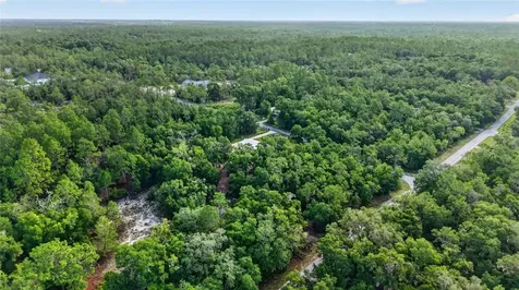 4500 SW Freshwater Court Dunnellon FL 34431