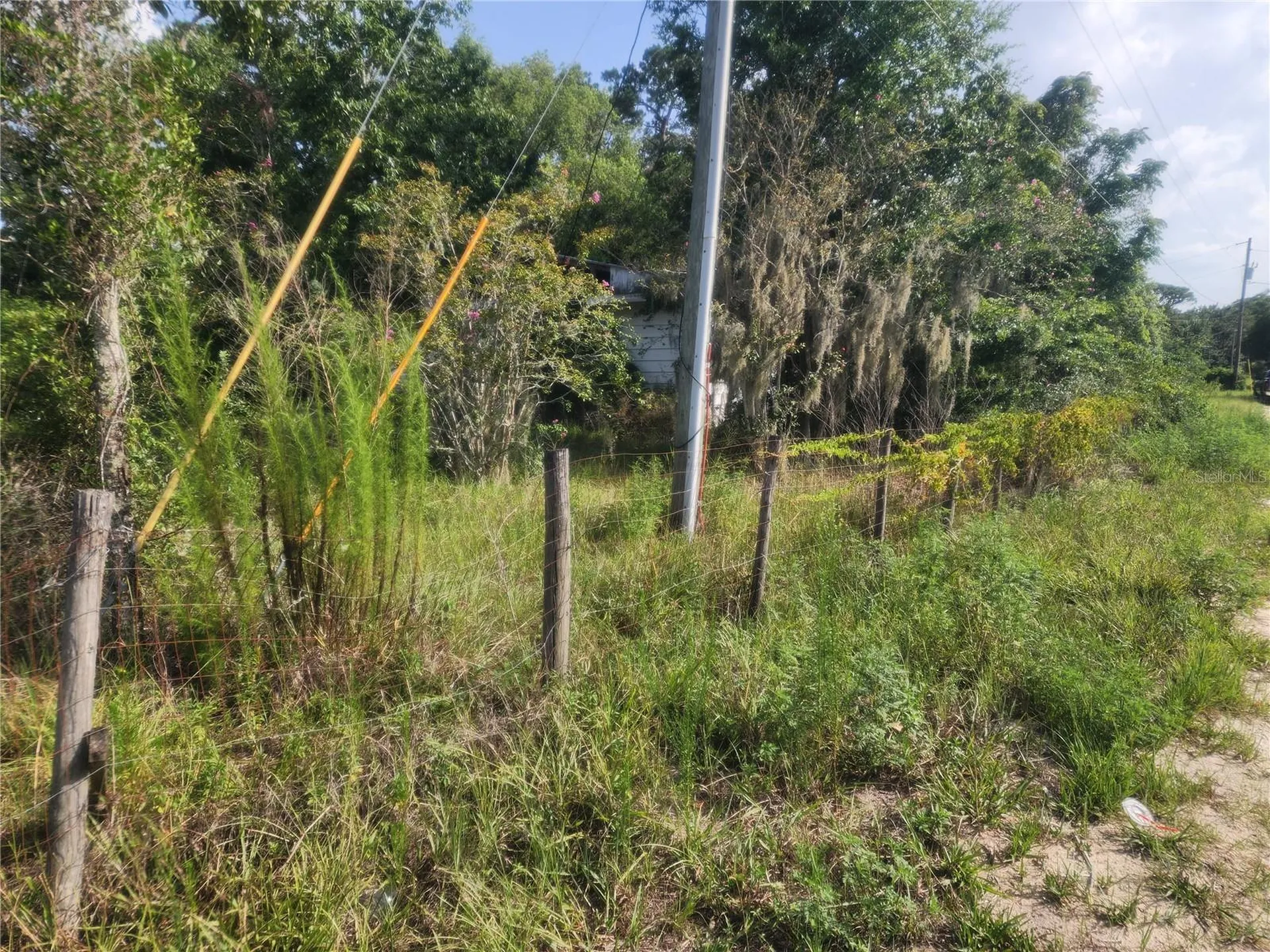 33444 Coronado Road Leesburg FL 34788