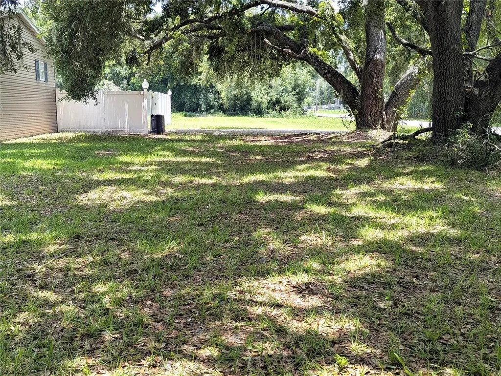 30517 Clearview Drive Wesley Chapel FL 33545