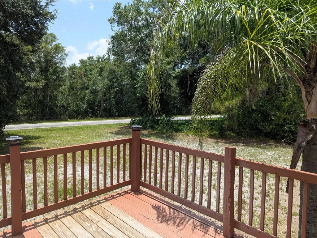 30517 Clearview Drive Wesley Chapel FL 33545