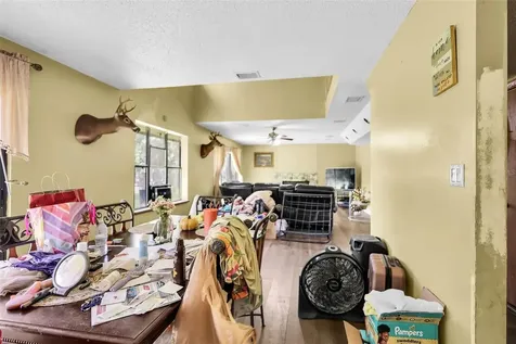24003 Sisler Avenue Christmas FL 32709