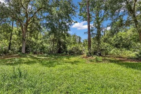 24003 Sisler Avenue Christmas FL 32709