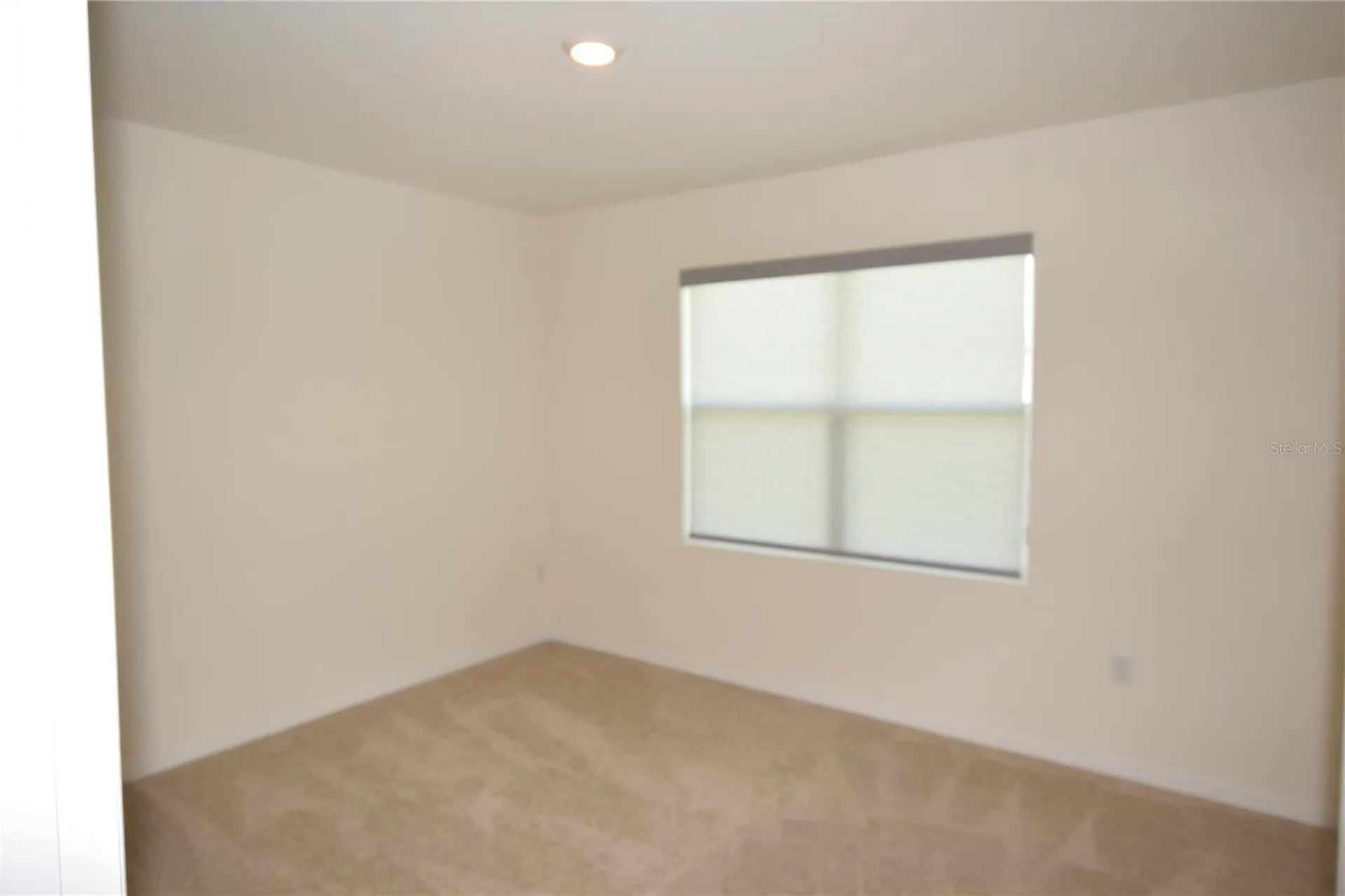 5215 Mahogany Drive Mount Dora FL 32757