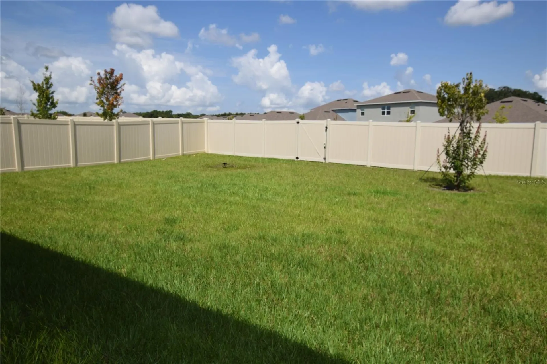 5215 Mahogany Drive Mount Dora FL 32757
