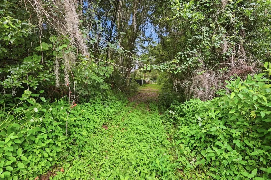 S Lakeview Drive Lake Helen FL 32744