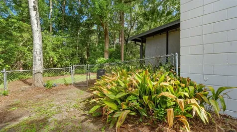 1114 NW 36th Drive Gainesville FL 32605