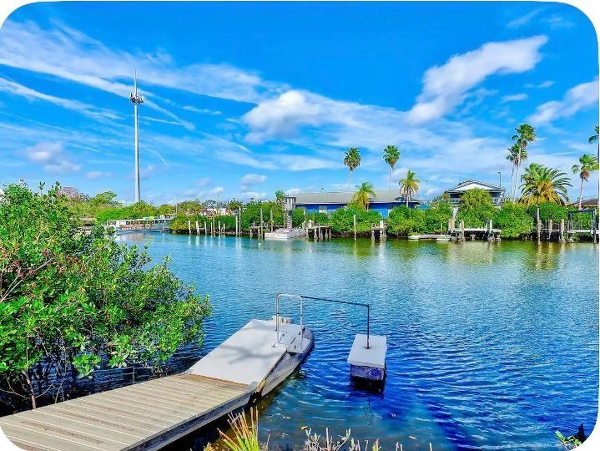 8937 Rocky Creek Drive Tampa FL 33615