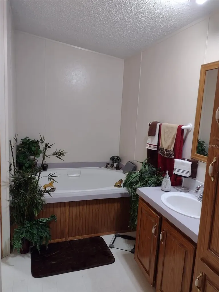 9070 SE 196th Terrace Ocklawaha FL 32179