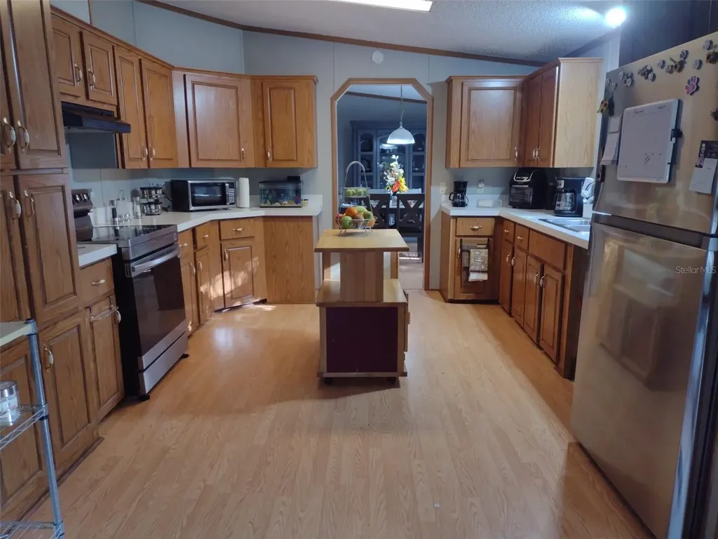 9070 SE 196th Terrace Ocklawaha FL 32179