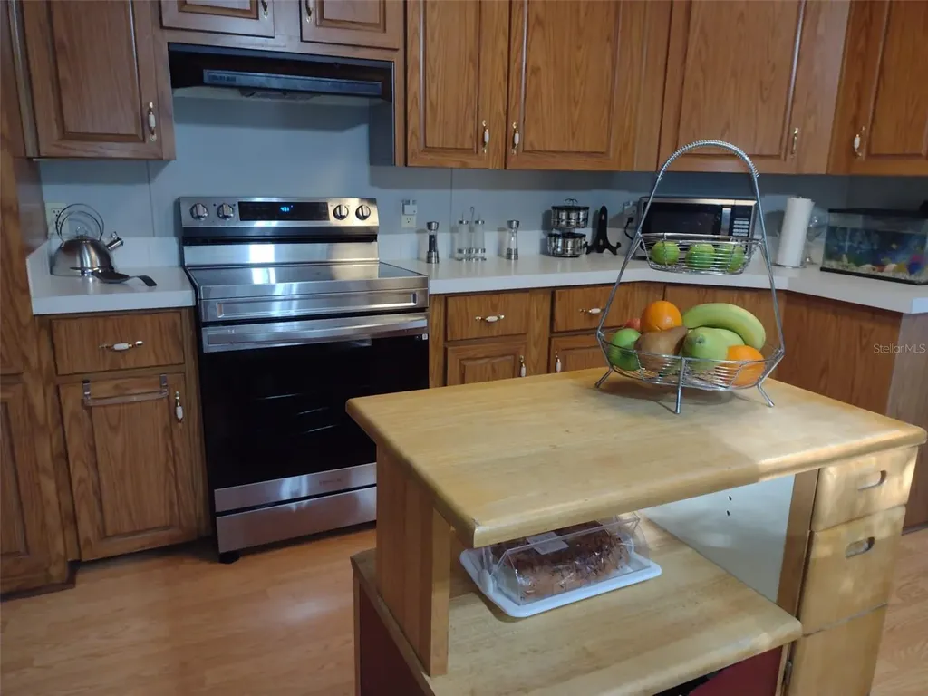9070 SE 196th Terrace Ocklawaha FL 32179