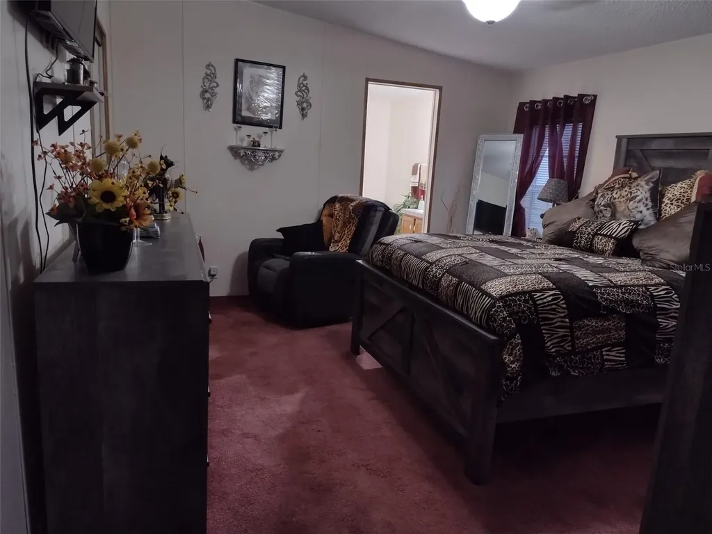 9070 SE 196th Terrace Ocklawaha FL 32179
