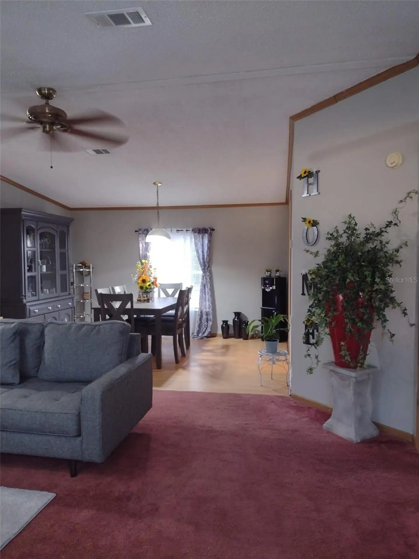 9070 SE 196th Terrace Ocklawaha FL 32179
