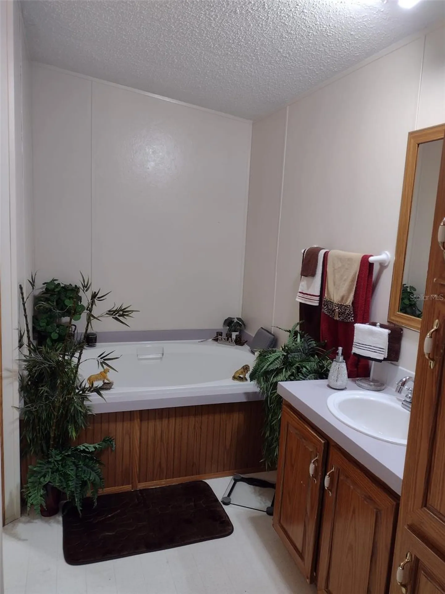 9070 SE 196th Terrace Ocklawaha FL 32179