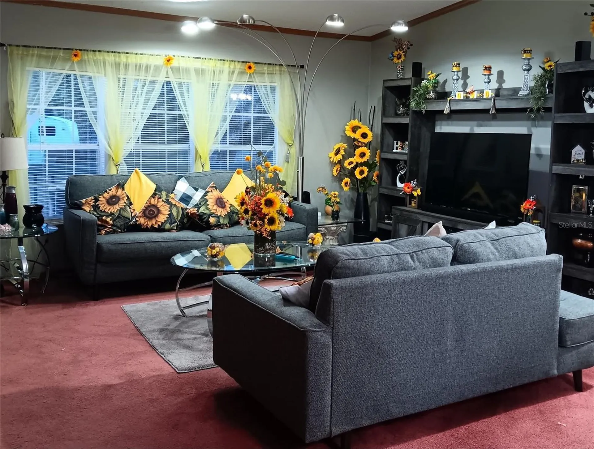 9070 SE 196th Terrace Ocklawaha FL 32179