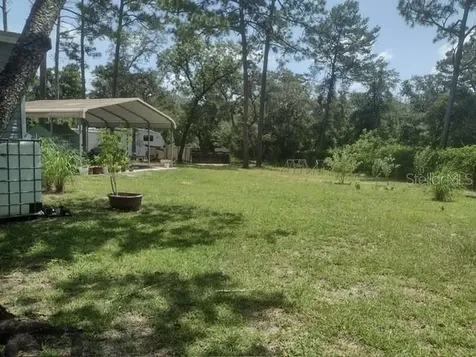 9070 SE 196th Terrace Ocklawaha FL 32179