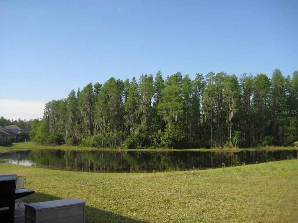 3241 Gianna Way Land O Lakes FL 34638