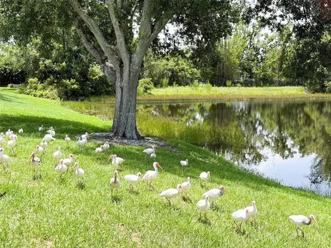 2705 Chatham Circle Kissimmee FL 34746