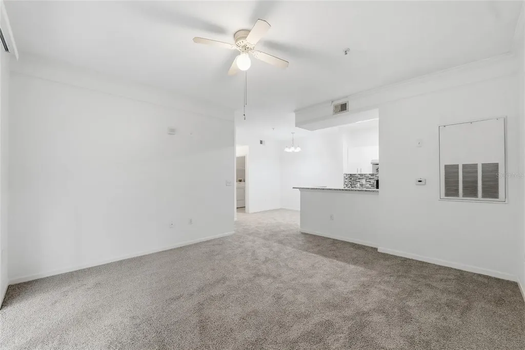17112 Carrington Park Drive Tampa FL 33647