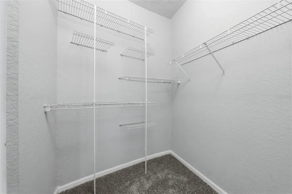 17112 Carrington Park Drive Tampa FL 33647