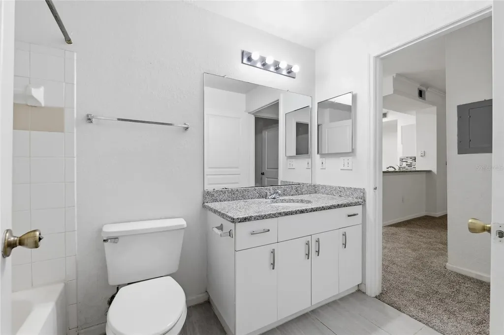 17112 Carrington Park Drive Tampa FL 33647