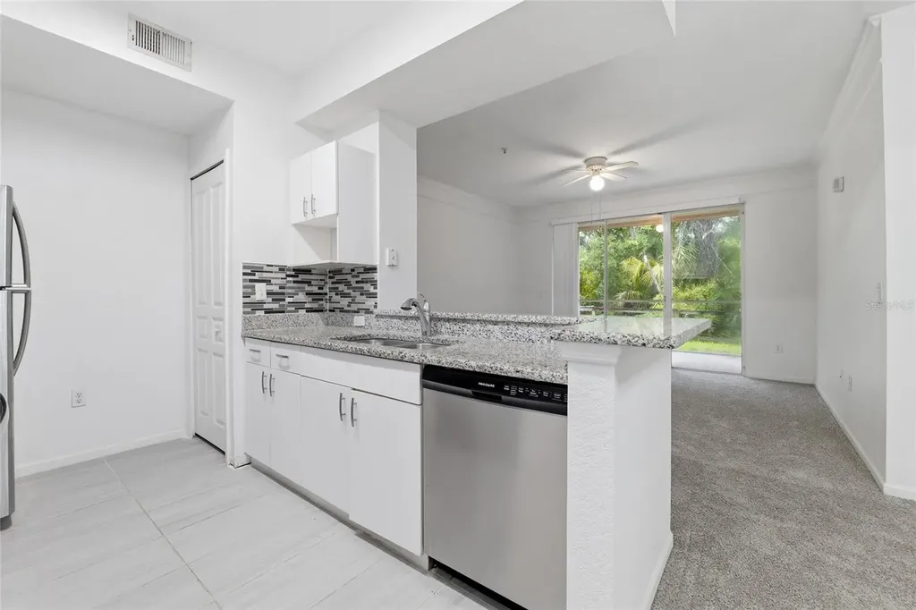 17112 Carrington Park Drive Tampa FL 33647