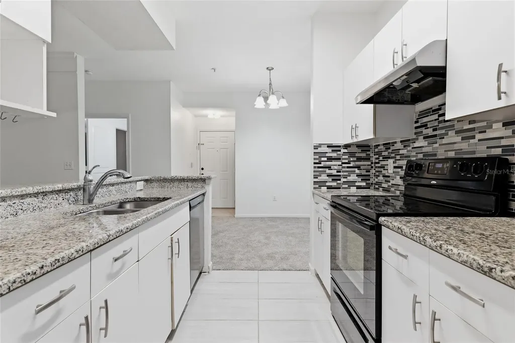 17112 Carrington Park Drive Tampa FL 33647
