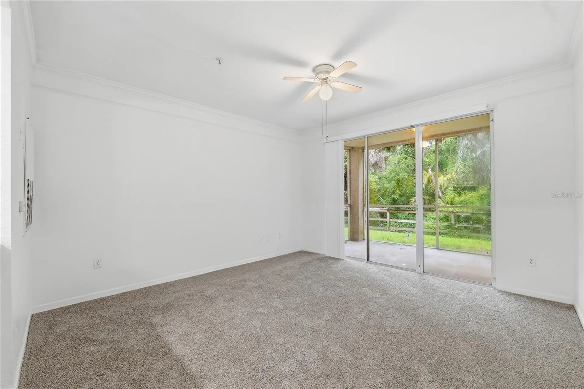 17112 Carrington Park Drive Tampa FL 33647