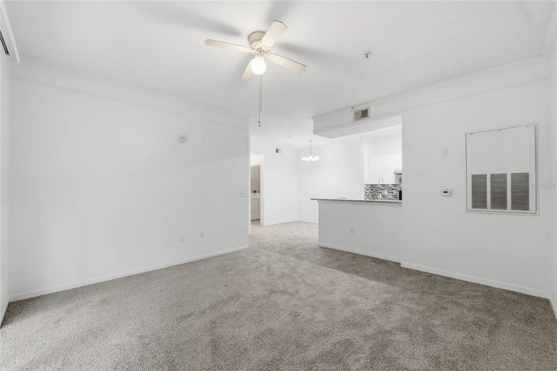 17112 Carrington Park Drive Tampa FL 33647
