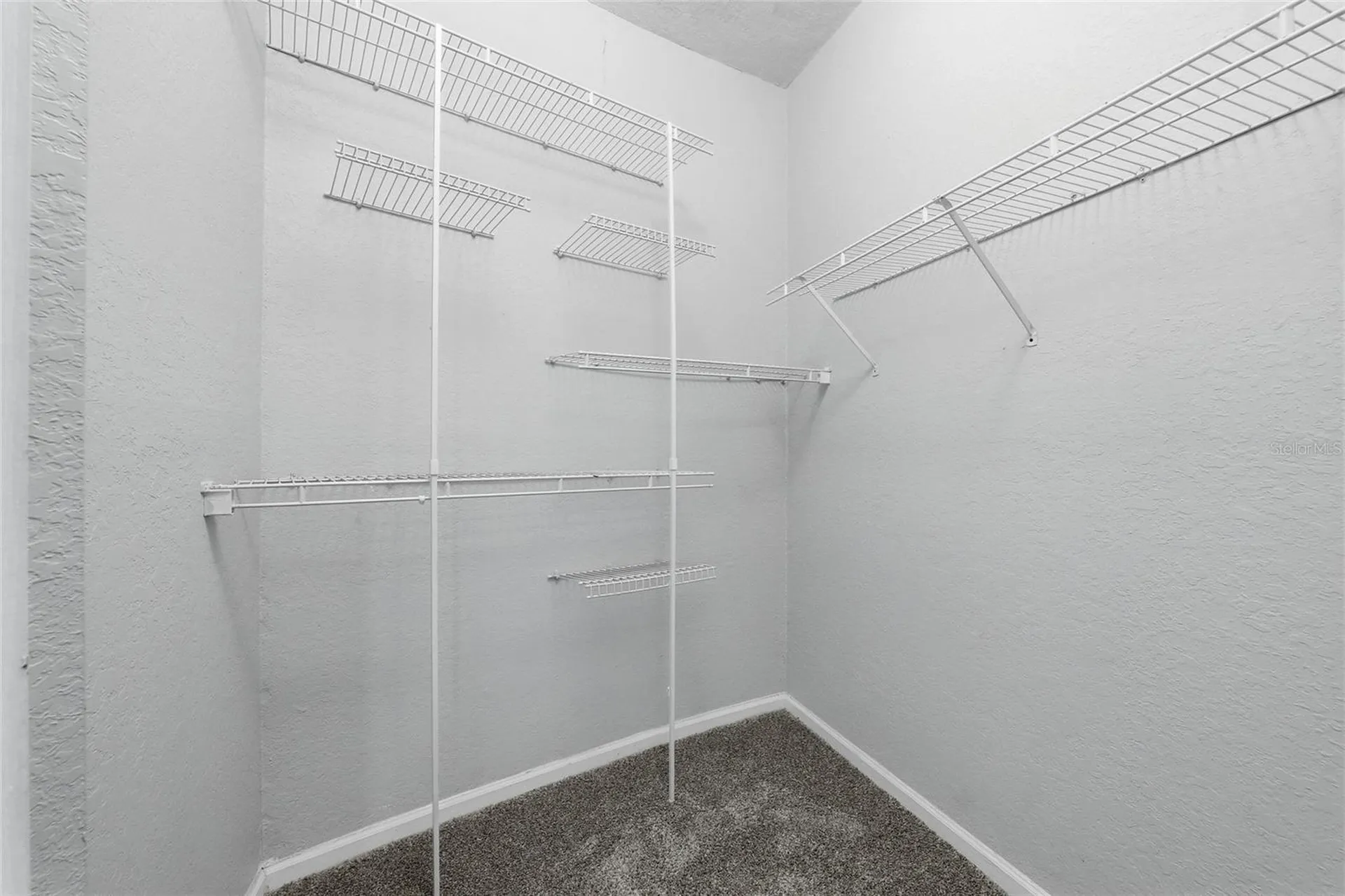 17112 Carrington Park Drive Tampa FL 33647