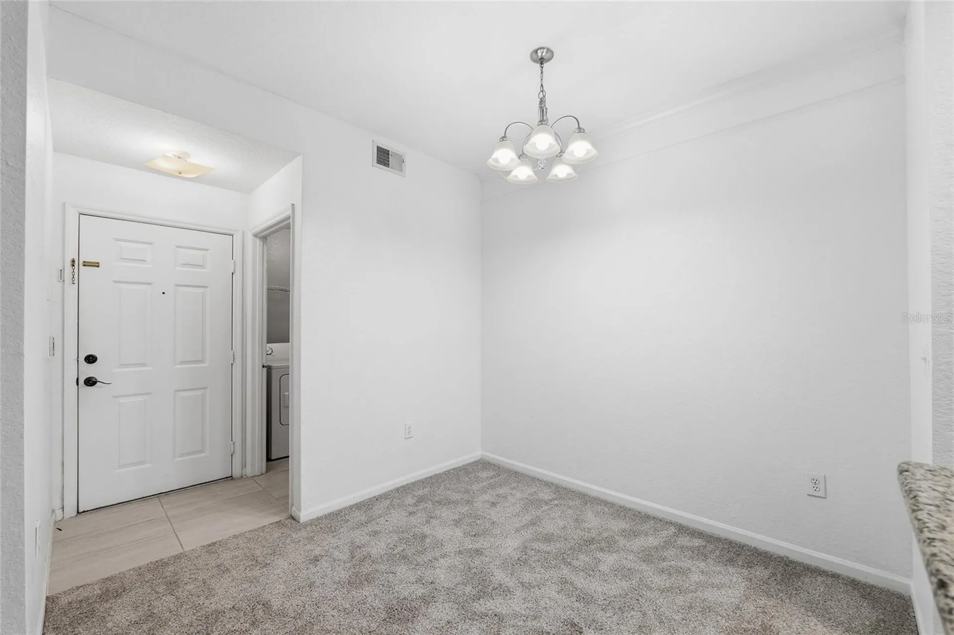 17112 Carrington Park Drive Tampa FL 33647