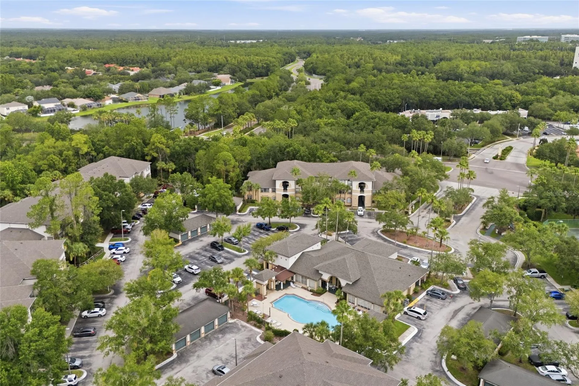 17112 Carrington Park Drive Tampa FL 33647