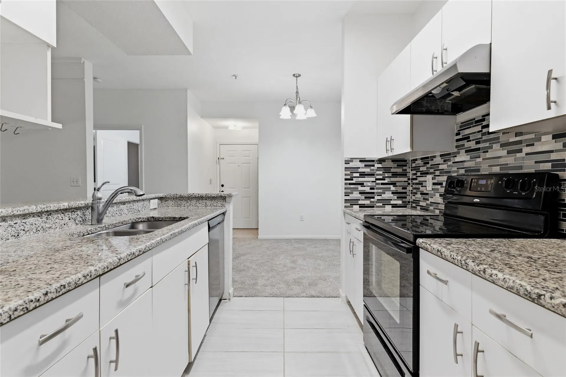 17112 Carrington Park Drive Tampa FL 33647