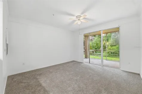 17112 Carrington Park Drive Tampa FL 33647