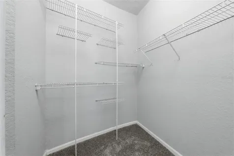 17112 Carrington Park Drive Tampa FL 33647