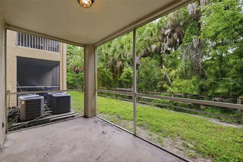 17112 Carrington Park Drive Tampa FL 33647