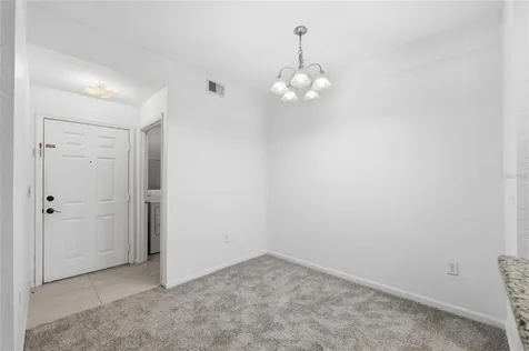 17112 Carrington Park Drive Tampa FL 33647