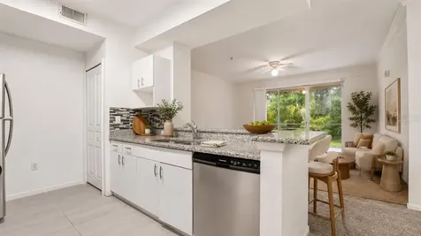 17112 Carrington Park Drive Tampa FL 33647